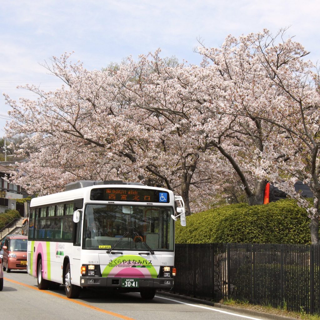 さくらやまなみバス
